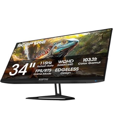 Philips PHI-438P1 Brilliance 4K Ultra HD LCD Display with
