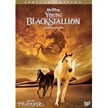 ワイルドブラックTHE BLACK STALLION USオリジナル映画ポスター Amazon.com: The Black Stallion Movie Poster Print (27 x 40