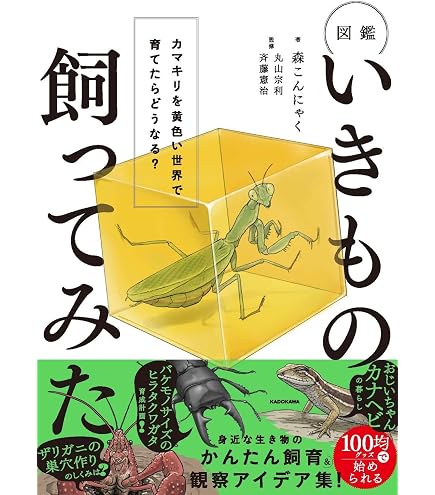 Amazon | クワガタ 採集道具 かき出し棒・ひっかき棒 27cm(1セット