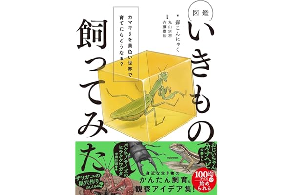 図鑑いきもの飼ってみた カマキリを黄色い世界で育てたら、どうなる?