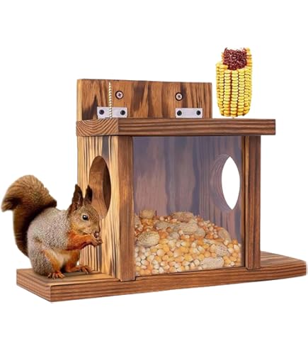 Amazon | リスの餌場、木製のリスハウス、リスの餌やり園、リスの餌箱
