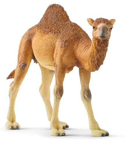 Amazon.co.jp: シュライヒ ワイルドライフ ジャイアントパンダ(メス