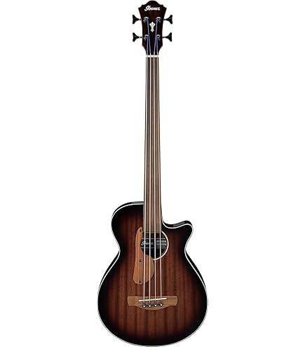 Amazon | Aria Pro II FEB-F2/FL STBR | アコースティック・エレアコ 