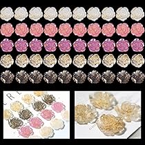 Amazon | Voyyphixa 薔薇 アクリル樹脂パーツ 5色50個入り 樹脂