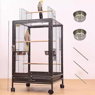 Amazon.co.jp ほしい物ランキング: 鳥用品 で、ほしい物リストと