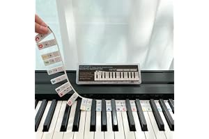 BEATBIT Piano Notes Learning Guide for Beginners, Removable Piano Keyboard Labels, Made of Silicone, Reusable with Box (7 Rainbow Colors)
