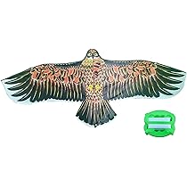 凧 41o3CqpzCrS._UF350,350_QL50_.jpg