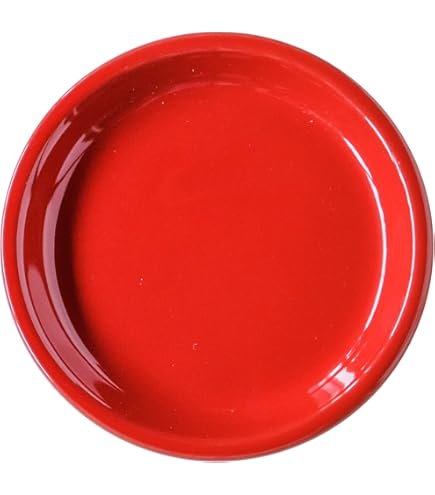 小皿　赤 Amazon｜ナガオ 割れない 赤い食器 ラウンド プレート 深皿 20cm 日本