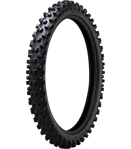 Amazon.co.jp: IRC(アイアールシー)井上ゴム バイクタイヤ M5B EVO