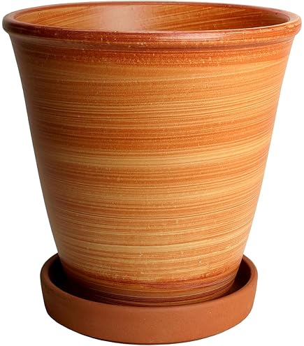 Amazon.co.jp: 有田焼 古伊万里金彩 8号鉄鉢 : DIY・工具・ガーデン