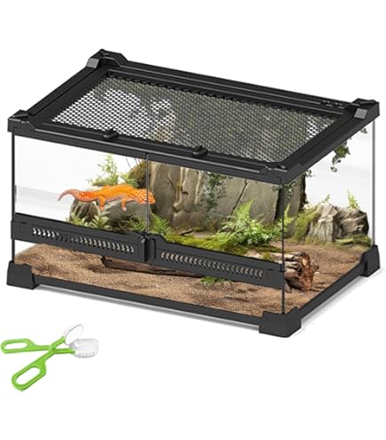 Amazon | トップテラ 爬虫類飼育ケージ TOP-60×45×45 | トップ