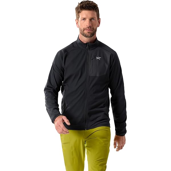Amazon.co.jp: [アークテリクス] ARCTERYX ベータジャケット男性用