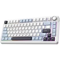 EPOMAKER GK75 Lite メカニカルキーボード　ゲーミングキーボード EPOMAKER SKYLOONG GK75 Lite Gasket-Like Mount Wired Hot