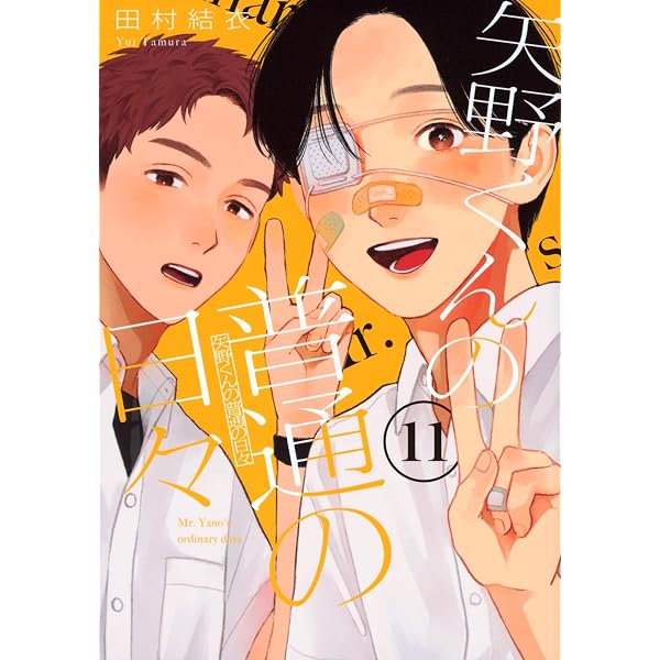 矢野くんの普通の日々 コミック 新品 1-11巻セット (講談社) | 田村