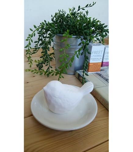 Amazon | Onlili(オンリリ) Nordic Collection 陶器 アロマ超音波式