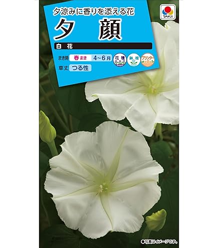 Amazon | 【種子】風船かずら [1037] | 草