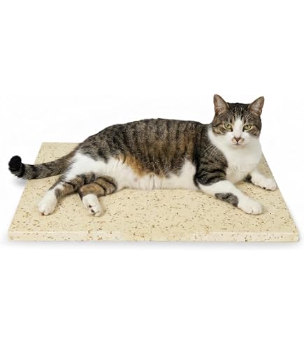 天然大理石 ペット用ひんやりマット 40×30×2cm 暑さ対策 4枚セット Amazon | ペット ひんやり マット 大理石 ペット用 マット 犬 冷却 約