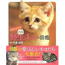 砂漠の天使 スナネコ | , 那須どうぶつ王国, 神戸どうぶつ王国 |本