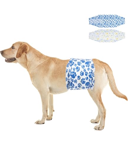 Amazon | P.one 男の子のためのマナーおむつ おしっこ用 ビッグパック