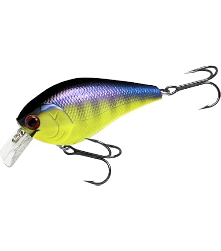 クラフトベイト　GT-2 Amazon.co.jp: LUCKY CRAFT (ラッキークラフト) クランクベイト