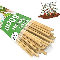 Amazon | 園芸 支柱60cm、天然竹 支柱 30本入り、篠竹 しの竹 家庭菜園