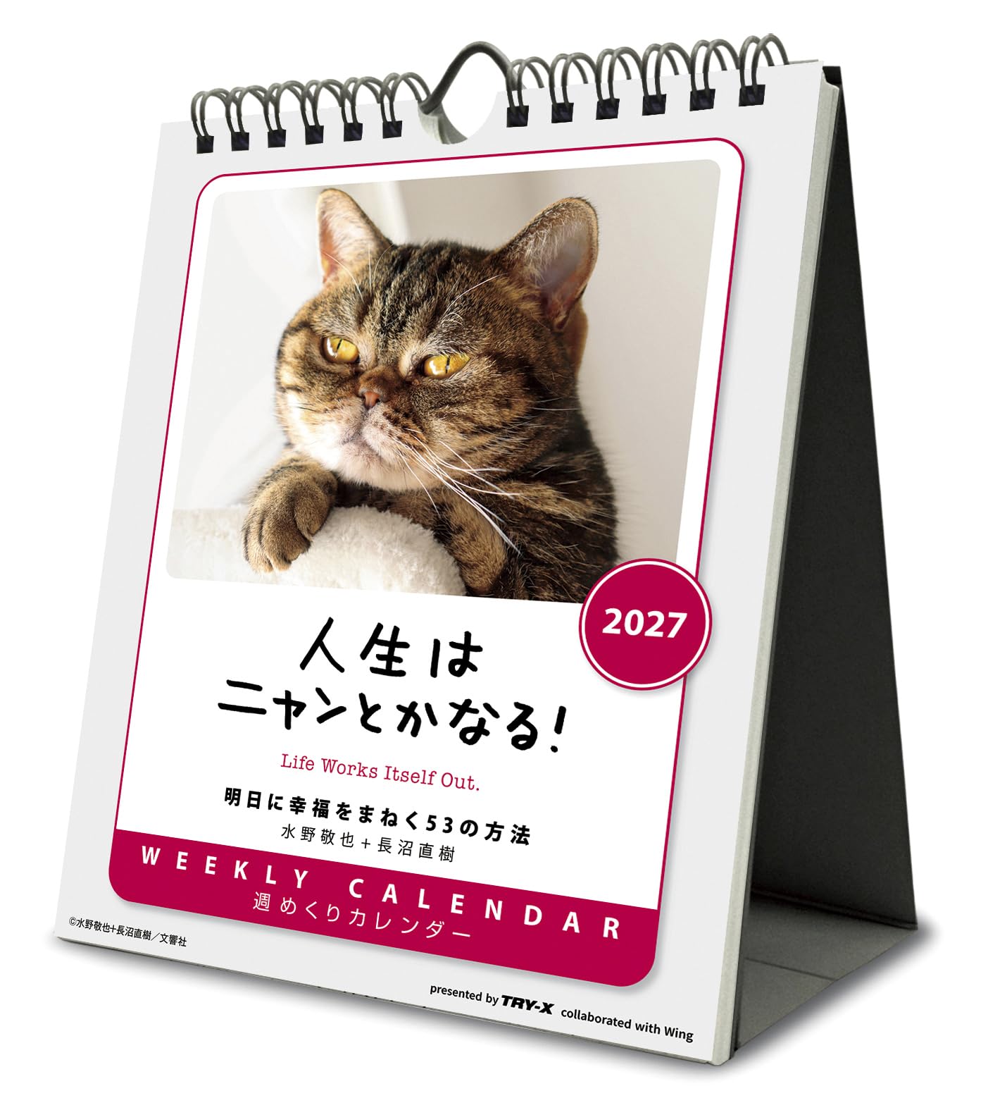 トライエックス 人生はニャンとかなる! 卓上/壁掛 2027年カレンダー 18×14cm 27CL-384