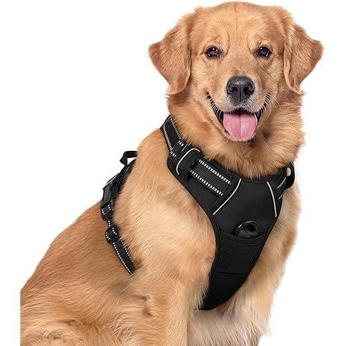 Rabbitgoo Dog Harness No-Pull Pet Harness Adjustable Outdoor Pet Vest 3M Reflective Oxford Material Vest for Dogs Easy Contro