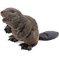 Folkmanis Beaver Hand Puppet: Amazon.sg 