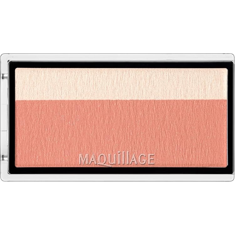 マキアージュ ドラマティックムードヴェール RD100 8g レフィル 6個 マキアージュ / ドラマティックムードヴェール RD100(レフィル)の公式