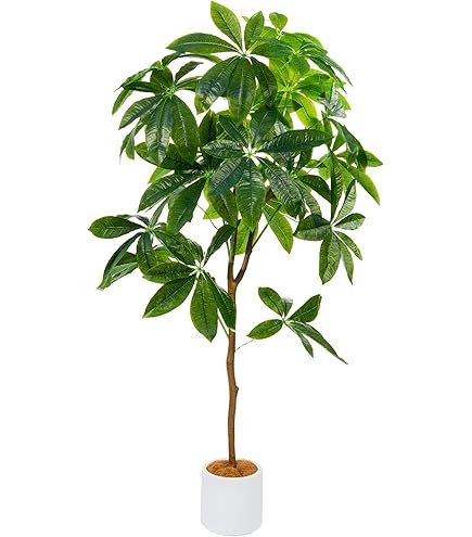 Amazon｜光触媒 人工観葉植物 光の楽園 カポック斑入り1.2m 371A150