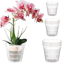 715Viqxbv3L._AC_UL210_SR210,