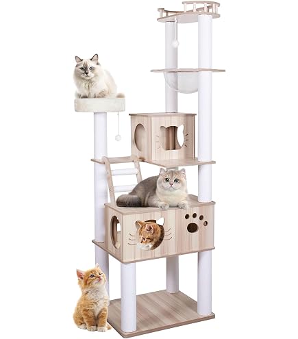 Amazon | Mdpetpops「2025年の新スタイル」キャットタワー 木製 シニア