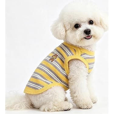 Amazon.co.jp 最新リリース: 犬用服・アクセサリ の新着ランキングです。
