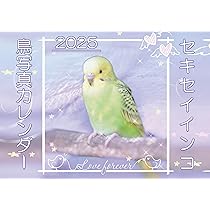 Amazon.co.jp: セキセイインコ・鳥写真カレンダー2025 B6サイズ