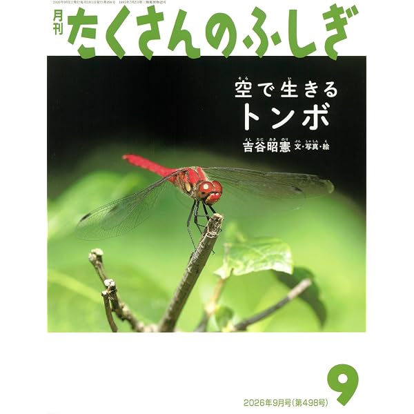 いきものと熱 (たくさんのふしぎ2026年4月号) | きのした ちひろ |本
