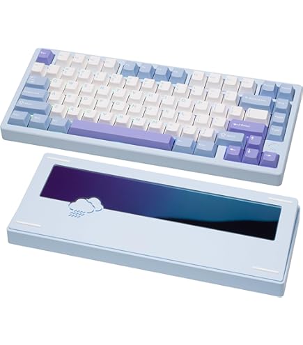 Amazon | WOBKEY RAINY 75 RT/TTC KOM RGBスイッチ搭載/ラピット