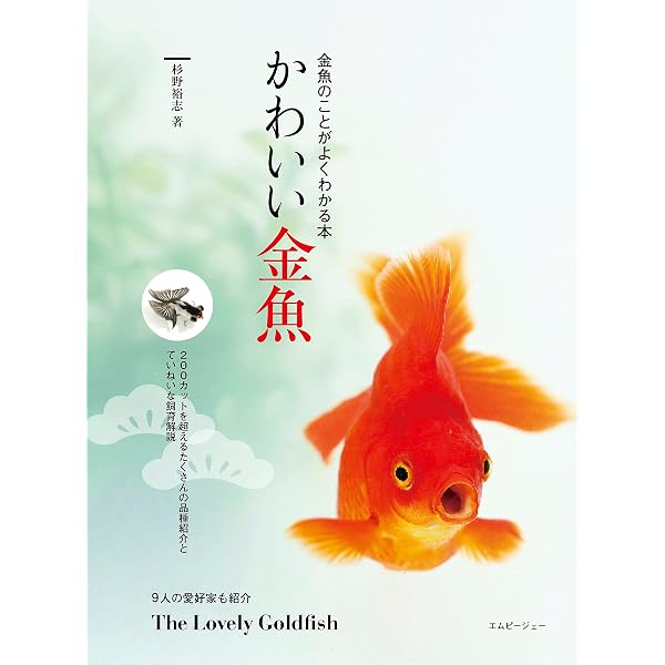 Amazon.co.jp: らんちゅうの育て方 電子書籍: 宝実: Kindleストア Amazon.co.jp: らんちゅうの育て方 電子書籍: 宝実: Kindleストア