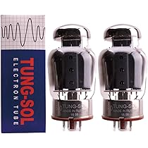 Amazon | 6550 TUNG-SOL タングソル 2本マッチ 真空管PX29 【1