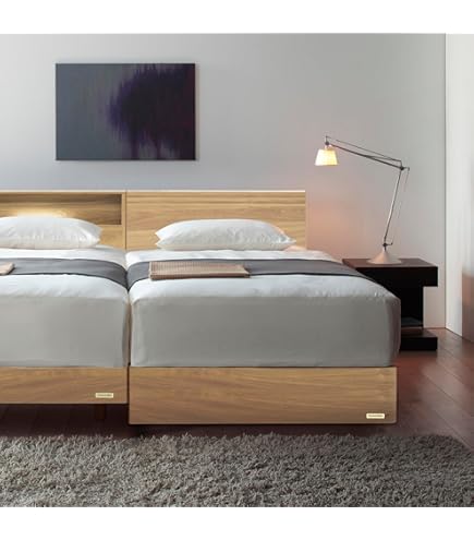 フランスベッド リバートCシリーズ DR タイプ ライト付きシングルベッド 3258852812s_a.jpg