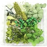 【NICHIFLRO】 ニチフロ ハンドメイド材料 花資材 小分け ハーバリウム アロマワックスサシェ レジン ネイル プリザーブドフラワー ドライフラワー クラフト 花材セット (モスグリーン)