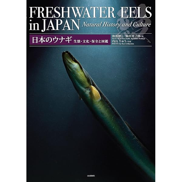 Amazon.co.jp: 日本のドジョウ 電子書籍: 中島 淳, 内山 りゅう