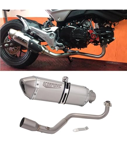 Amazon | エンデュランス (ENDURANCE) バイク 【受注生産品】 GROM