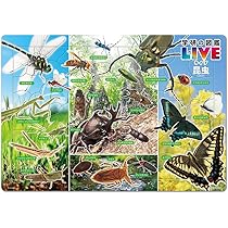 野生児ページ Amazon | テンヨー(Tenyo) 【日本製】 チャイルドパズル 昆虫