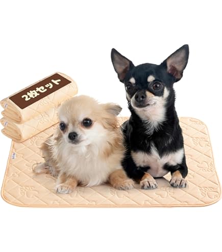 Amazon | 洗えるキルティングペットシーツ「サラッキー」（S：29cm