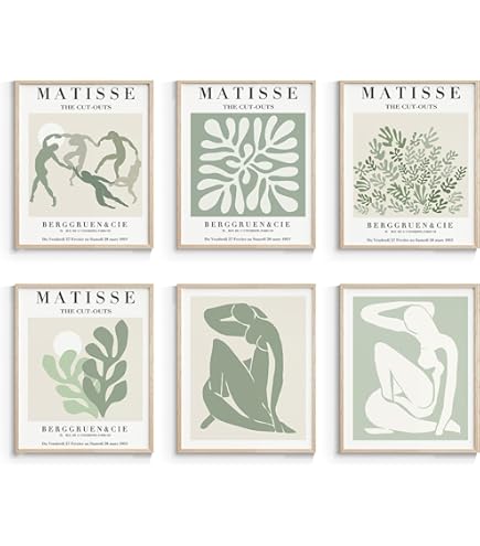 Amazon.co.jp: アンリ・マティス ポスター《千夜一夜物語》キャンバス