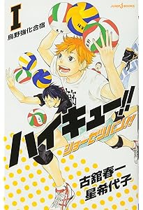 文庫版 ハイキュー!! ショーセツバン!! 全6巻セット (集英社文庫