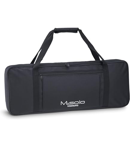 Amazon | HAMMOND ハモンド ステージキーボードSKX・SK2用 ソフト