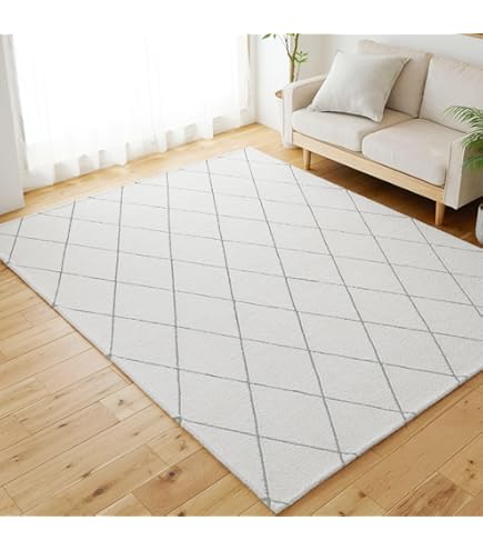 Amazon｜プレーベル ジェミニ 130×190 日本製 ホットカーペット