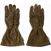 715sz0B-C5L._AC_UL210_SR210,