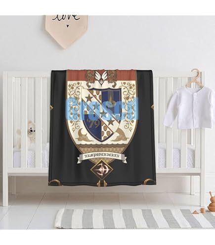 非売品 レア品 BUMP OF CHICKEN フリースクッションブランケット 非売品 レア品 BUMP OF CHICKEN フリースクッションブランケット